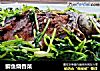 鲫鱼烧香菜的做法