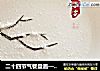 二十四节气餐盘画——小雪的做法