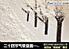 二十四节气餐盘画——大雪的做法
