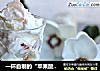 一杯自制的“苹果酸奶冰淇淋”简单易学只要动动手~的做法