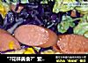 “?花样美食?”紫甘蓝火腿意面的做法
