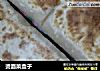 烫面菜盒子的做法