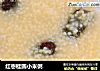 红枣桂圆小米粥的做法