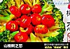 山楂树之恋的做法