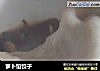 萝卜馅饺子的做法