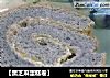 【黑芝麻蛋糕卷】的做法