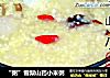 “粥”雪梨山药小米粥的做法