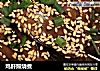 鸡肝照烧煮的做法