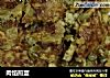 肉馅煎蛋的做法