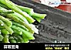蒜蓉豆角的做法