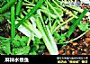 麻辣水煮鱼的做法