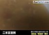 二米芸豆粥的做法