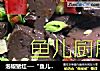 泡椒猪红──“鱼儿厨房”私房菜的做法