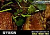 霉干菜扣肉的做法