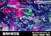 腊肉炒紫甘蓝的做法
