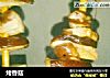 烤香菇的做法