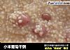 小米葡萄干粥的做法