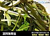 凉拌海带丝的做法