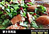 萝卜羊肉汤的做法