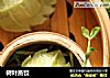 树叶蒸饺的做法