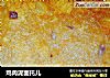 鸡肉泥面托儿的做法