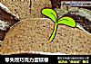 零失败巧克力蛋糕卷的做法