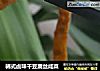 韩式卤味干豆腐丝咸菜的做法