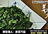 潮音潮人：姜蓉芥蓝的做法