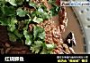 红烧鲫鱼的做法