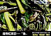 醋香红菜芯──“鱼儿厨房”私房菜的做法