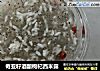 奇亚籽酒酿枸杞西米露的做法