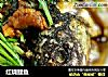红烧鲤鱼的做法
