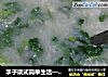李子柒式简单生活——芋头煮自家萝卜苗的做法