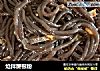 炝拌蕨根粉的做法
