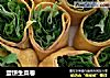 蛋饼生菜卷的做法