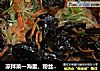 凉拌菜一海蜇、粉丝、红萝卜、黑木耳，香菜的做法