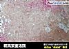 糯高粱面汤圆的做法
