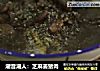 潮音潮人：芝麻姜猪肉的做法