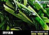 清炒油麦的做法