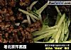 老北京炸酱面的做法