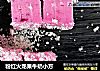 粉红火龙果牛奶小方的做法