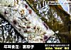 年味食足：裹粽子的做法
