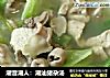 潮音潮人：潮汕猪杂汤的做法