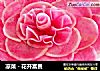 凉菜－花开富贵的做法