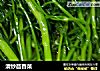 清炒茴香菜的做法