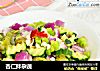 杏仁拌杂蔬的做法