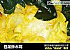 包菜炒木耳的做法