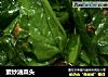 素炒油菜头的做法