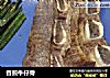 香煎牛仔骨的做法