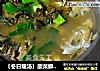 〔冬日暖汤〕酸菜鲫鱼汤的做法